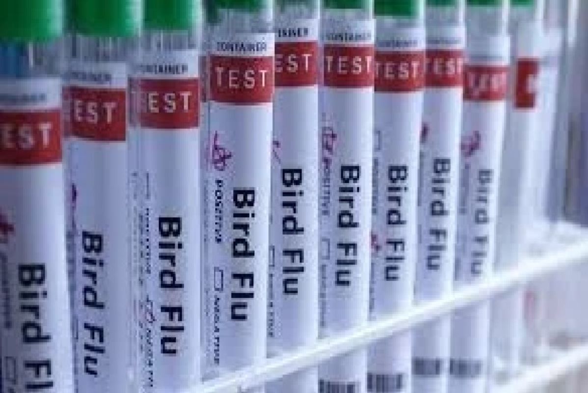 Australia confirmed its first mainland case of Highly Pathogenic Avian Influenza (HPAI) H5N1